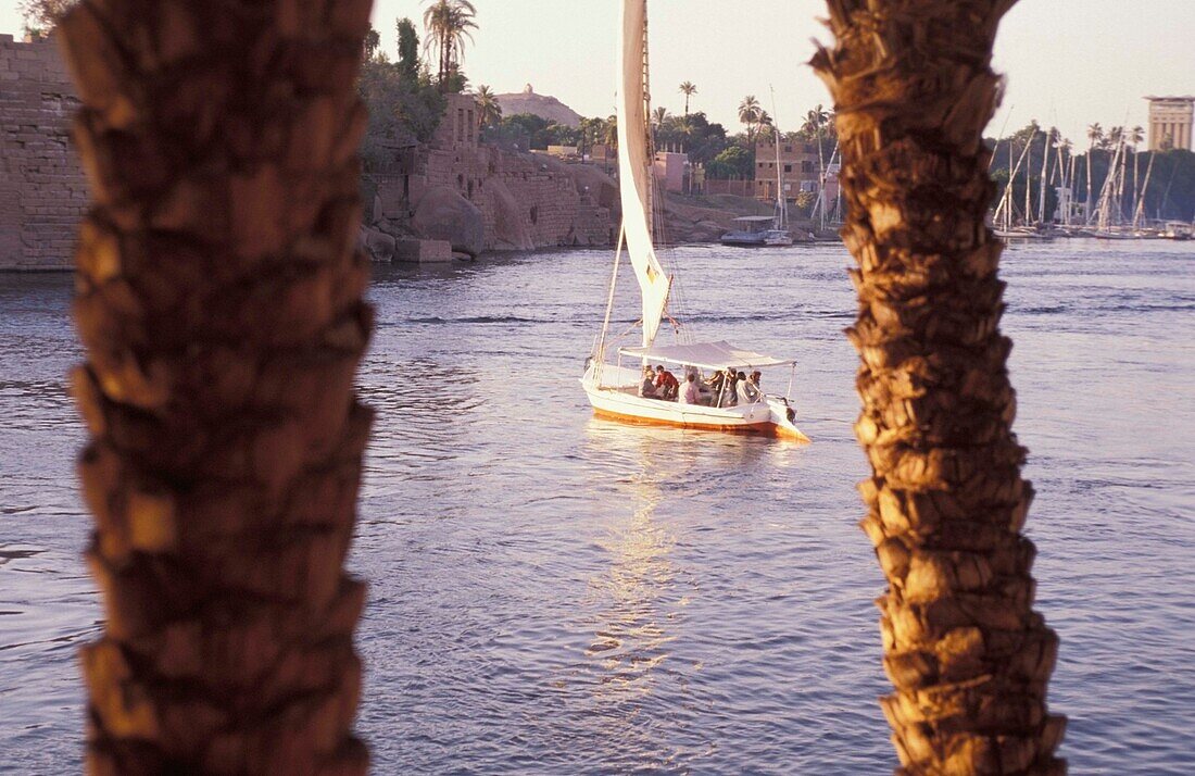 View Through Trees Of Felucca And Elephantine Island