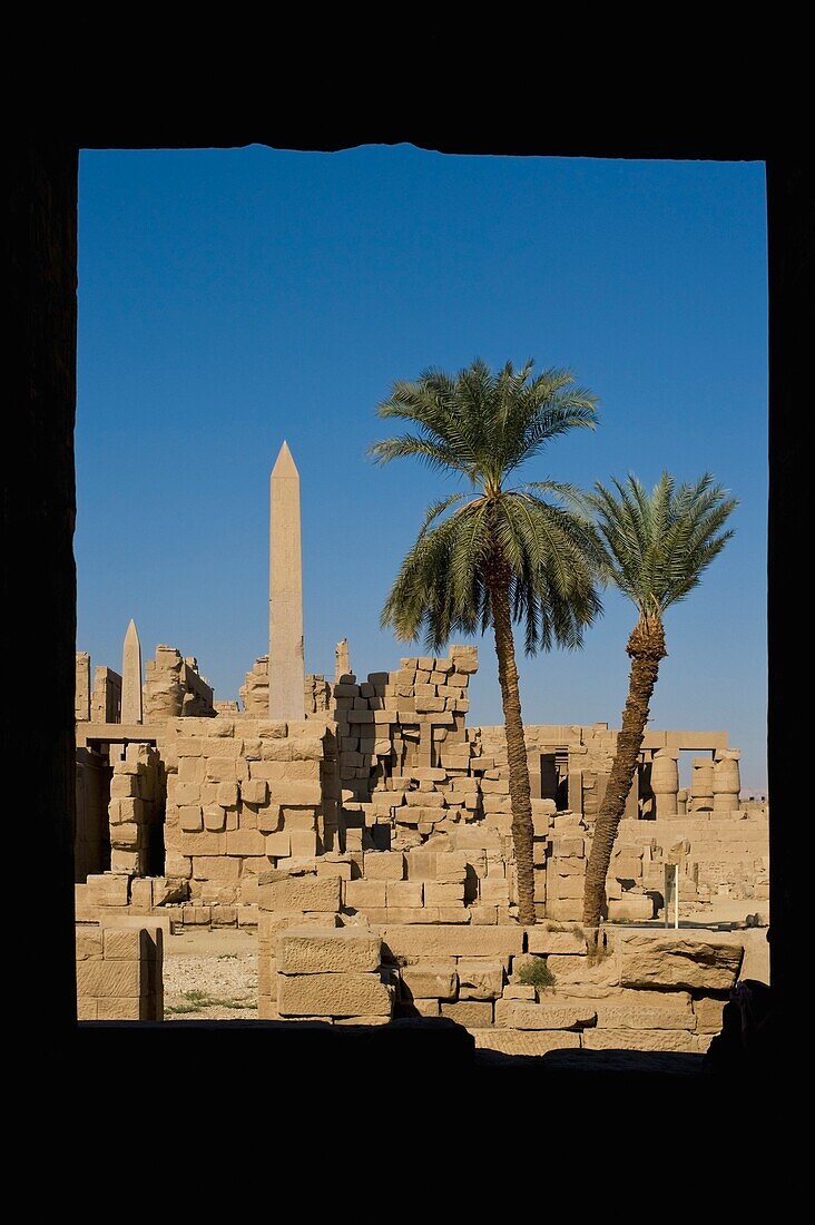 Blick durch die Säulen auf Hatschepsuts Obelisken und Dattelpalmen