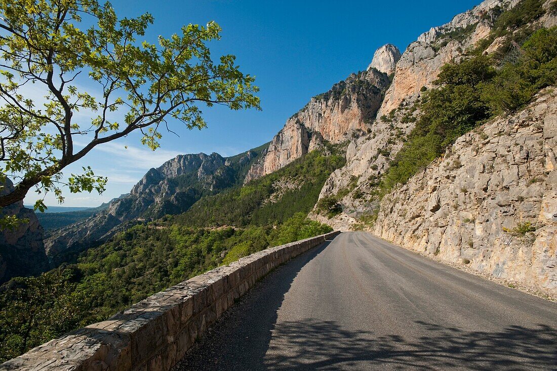 France, The Road On The North Side Of The Verdon Gorge; Provence