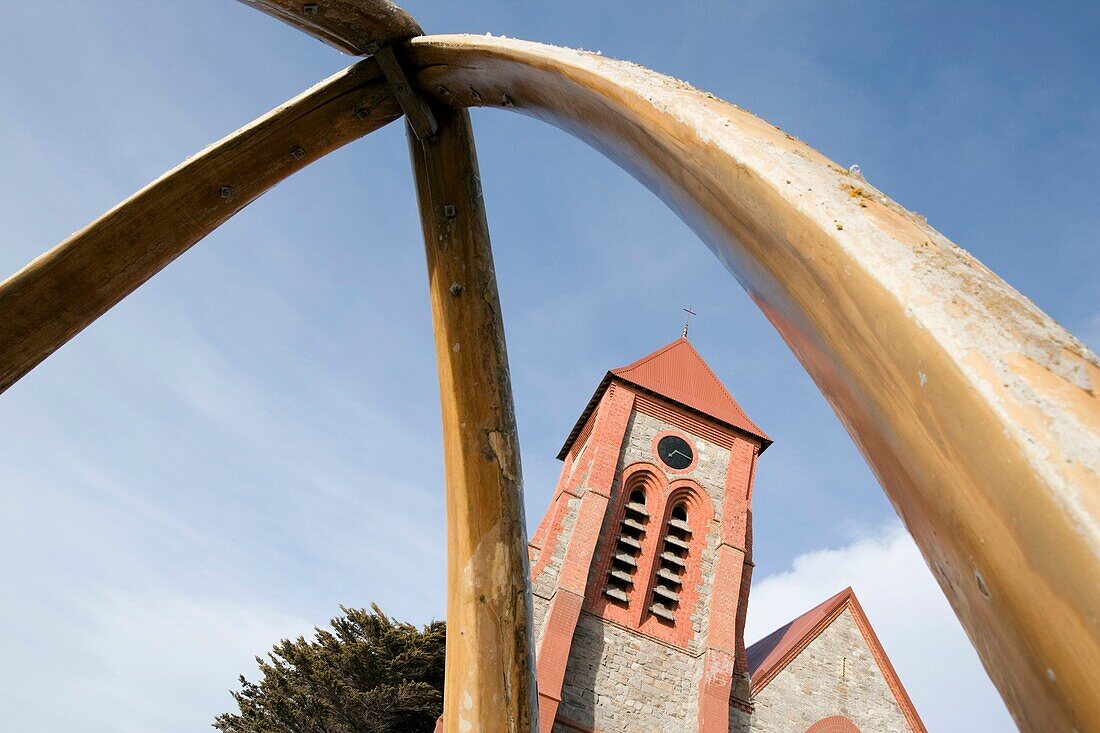 Christ Church Cathedral And Whalebone Arch