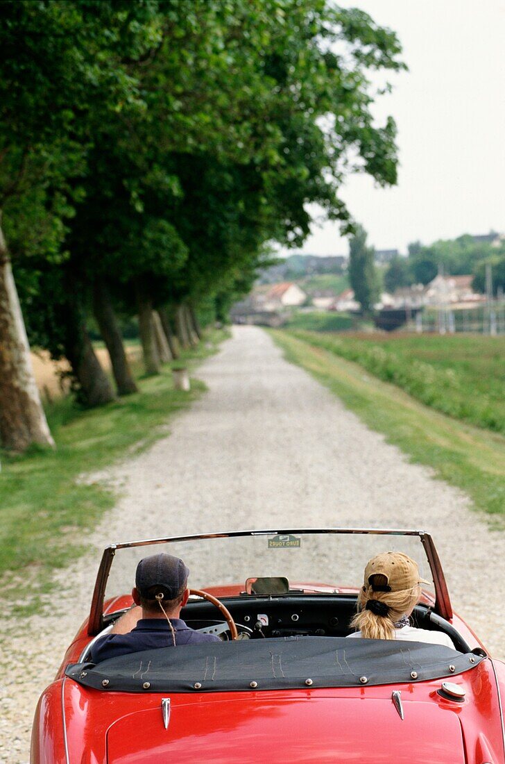 Couple Driving In Open Top Austin Healey Car