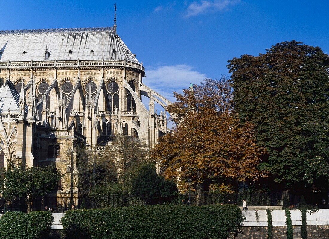 Notre Dame Cathedral.