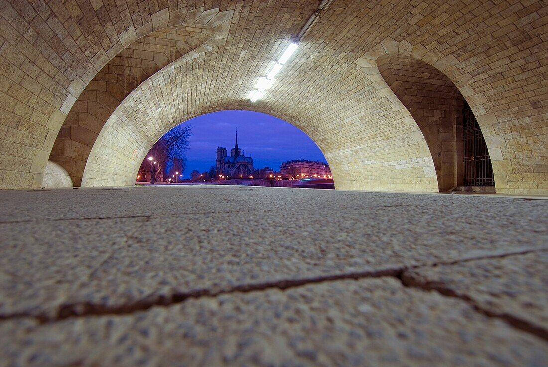 Blick unter der Brücke auf die Kathedrale Notre Dame in der Morgendämmerung.