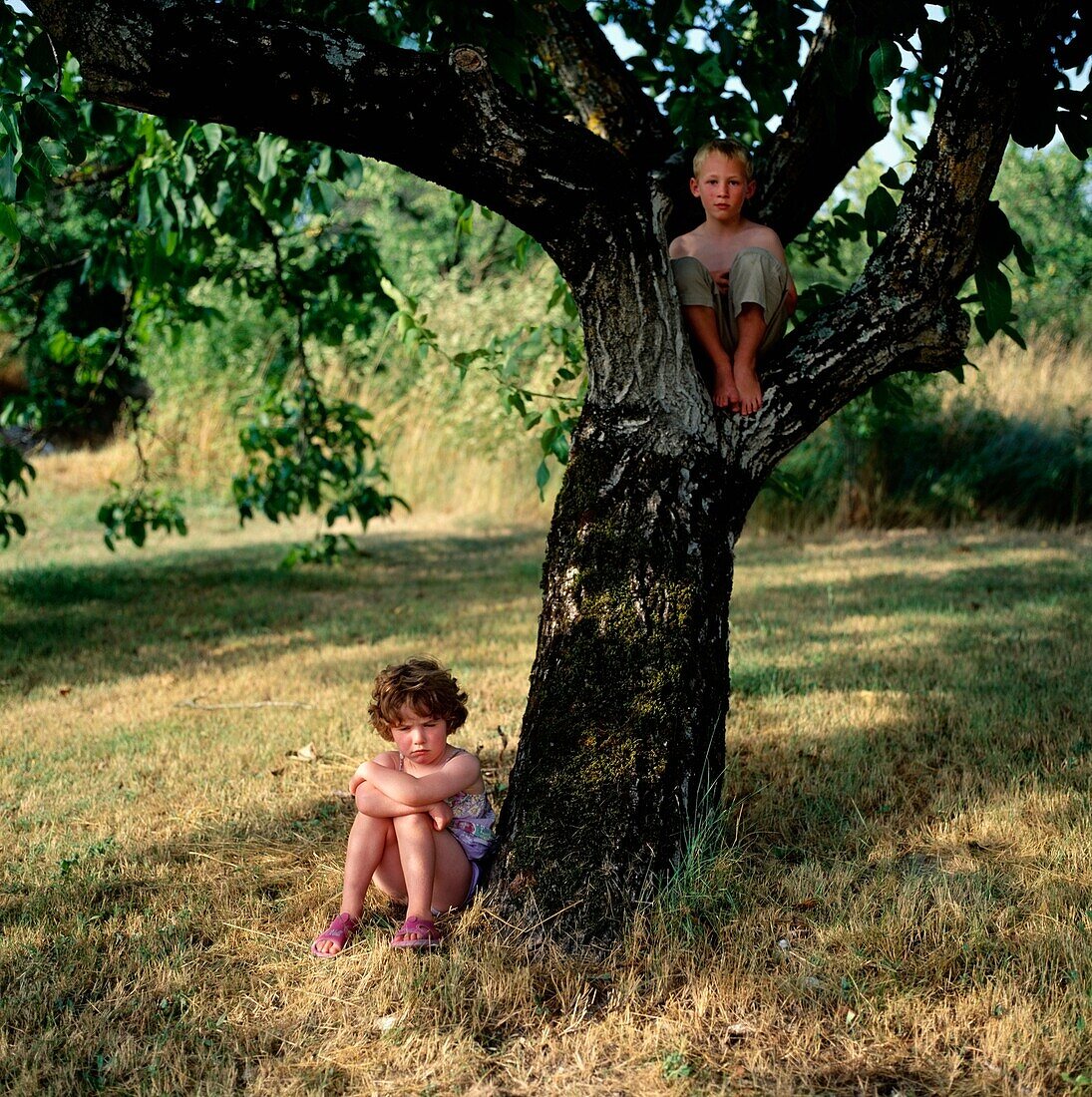 Junger Junge und Mädchen im Walnussbaum