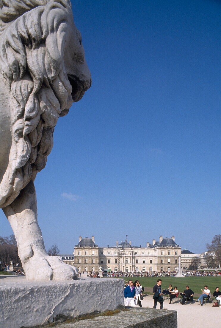 Jardin Du Luxembourg