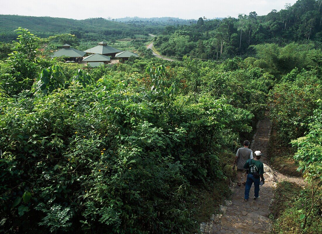 Kakum National Park