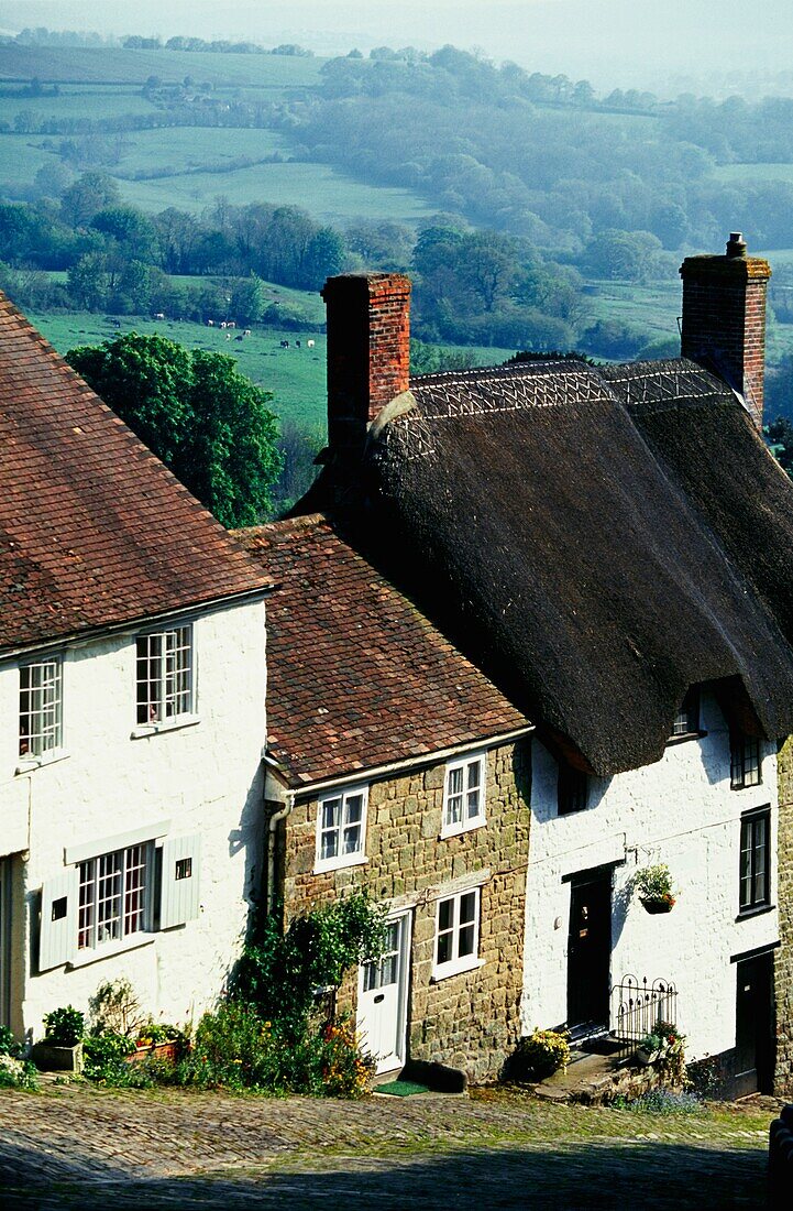 Traditional Houses In Gold Hill In Shaftesbury