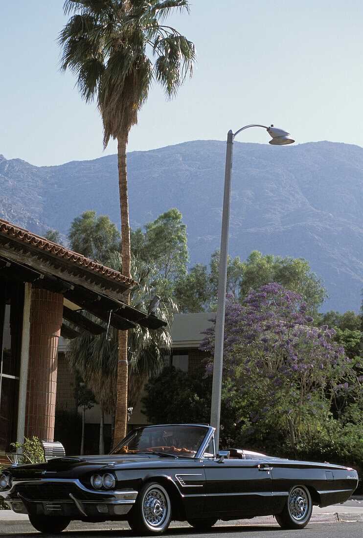 USA, California, Vintage car; Palm Springs