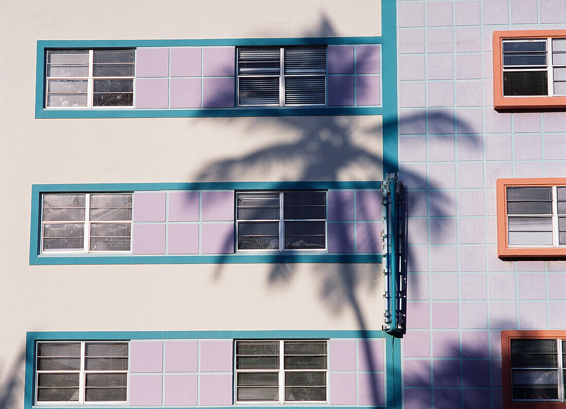 Pastellfarbene Gebäudefassade mit Palmenschatten, Nahaufnahme