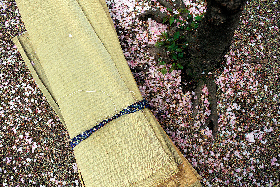 Tatami-Matten und Kirschblüten-Metalle