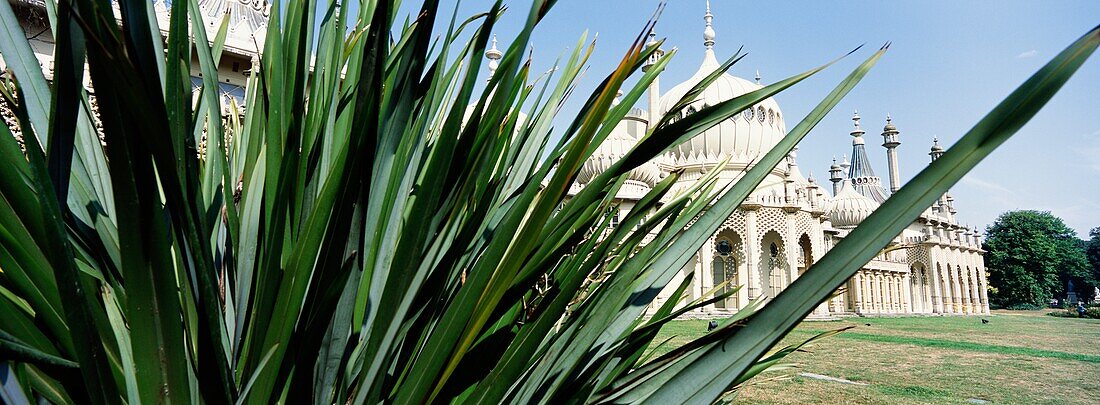 Brighton Pavilion und Pflanze