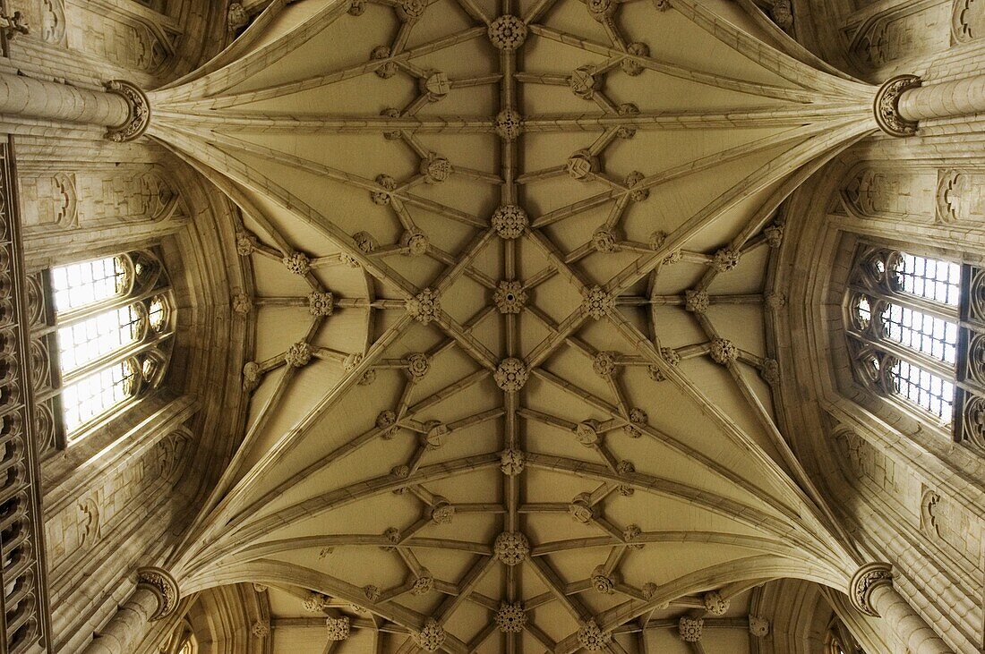 Winchester Cathedral Innenraum Decke und Fenster, Nahaufnahme