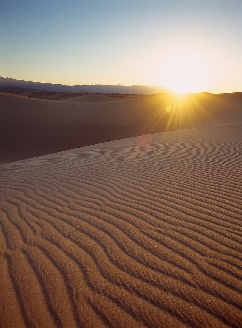 Dawn Over Rippled Sand Dunes, Close Up