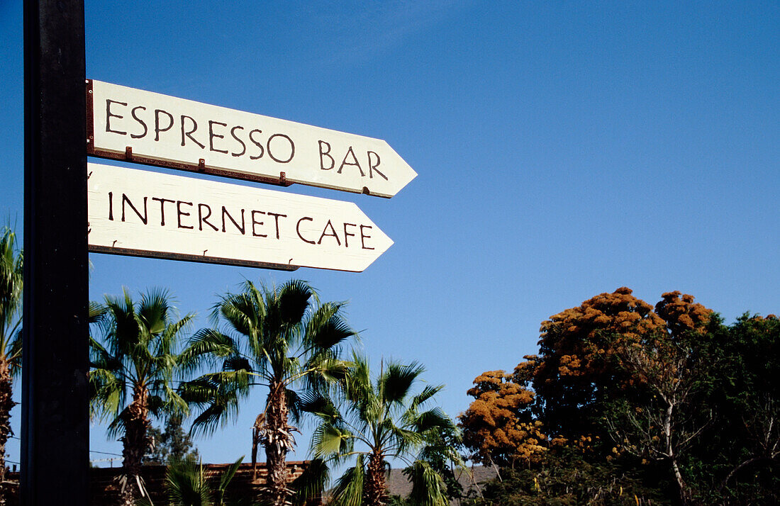 Sign For Expresso Bar And Internet Cafe With Palm Trees In Background