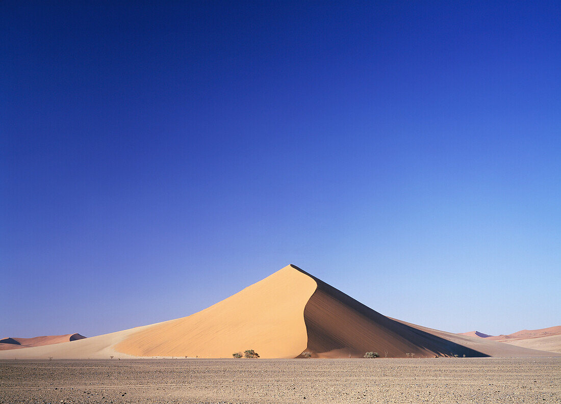 Sand Dune In Desert