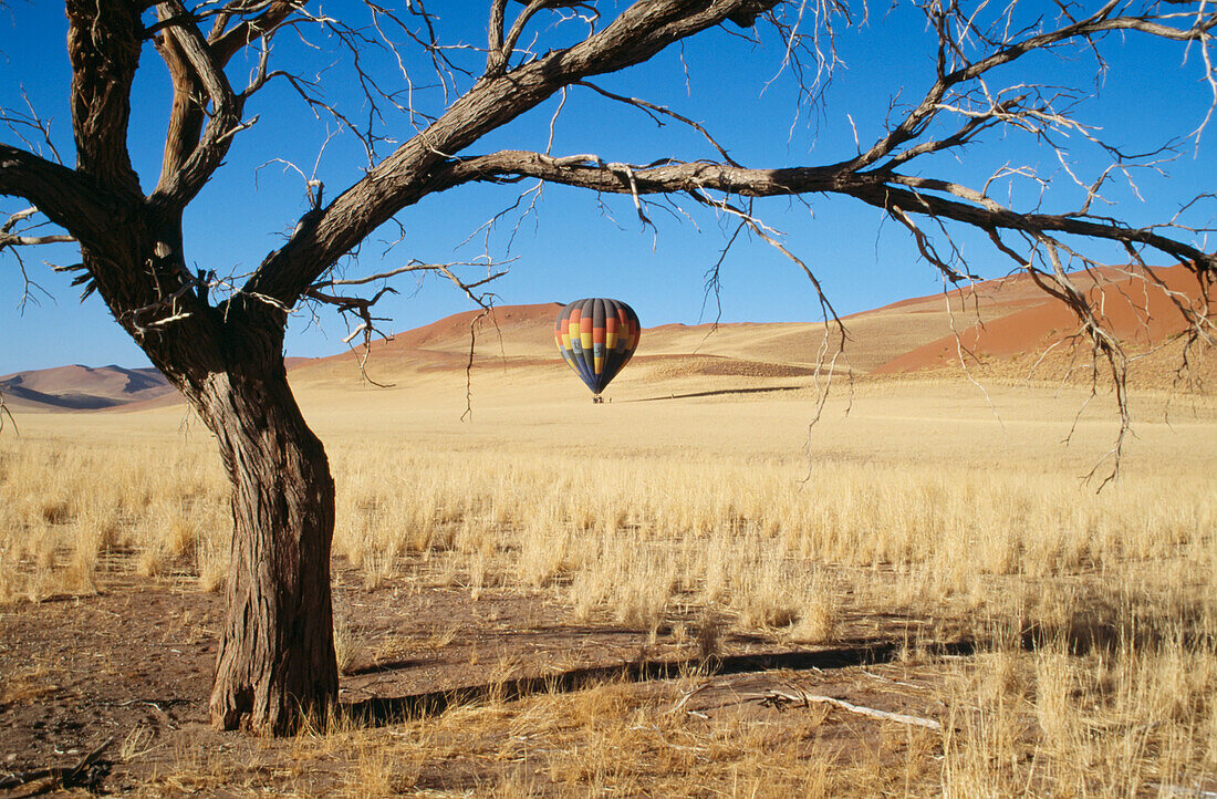 Heißluftballonfahrt über der Namibwüste mit Baum im Vordergrund