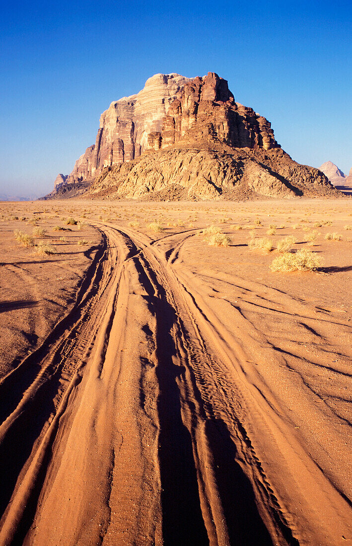 Tire Tracks In The Desert