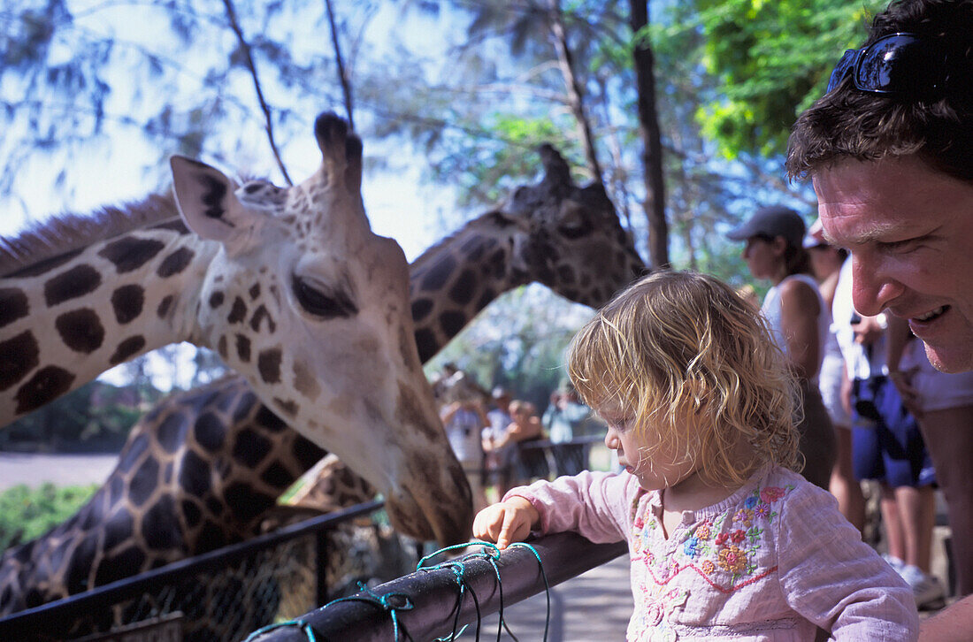 Vater und Tochter sehen sich Giraffen im Zoo an