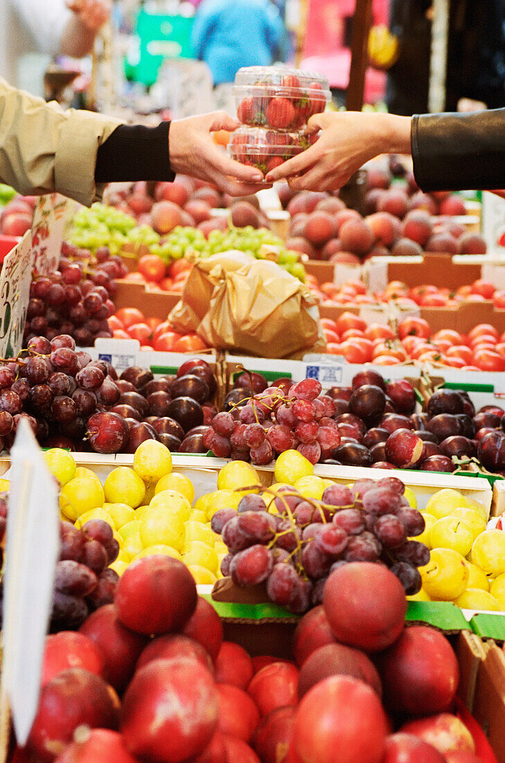 Obst zum Verkauf auf dem Portobello Road Market, Nahaufnahme