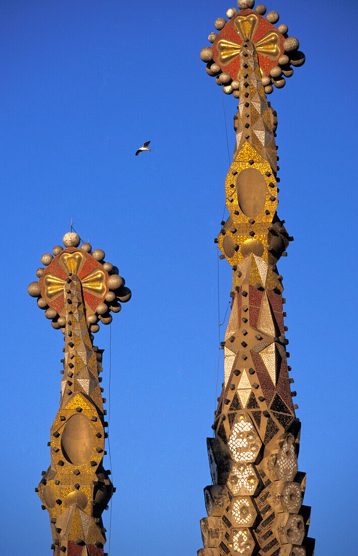 Spires Of Sagrada Familia With Bird Flying By