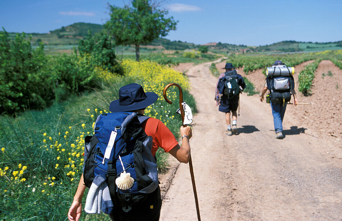 Santiago Pilgrims Walking On Path