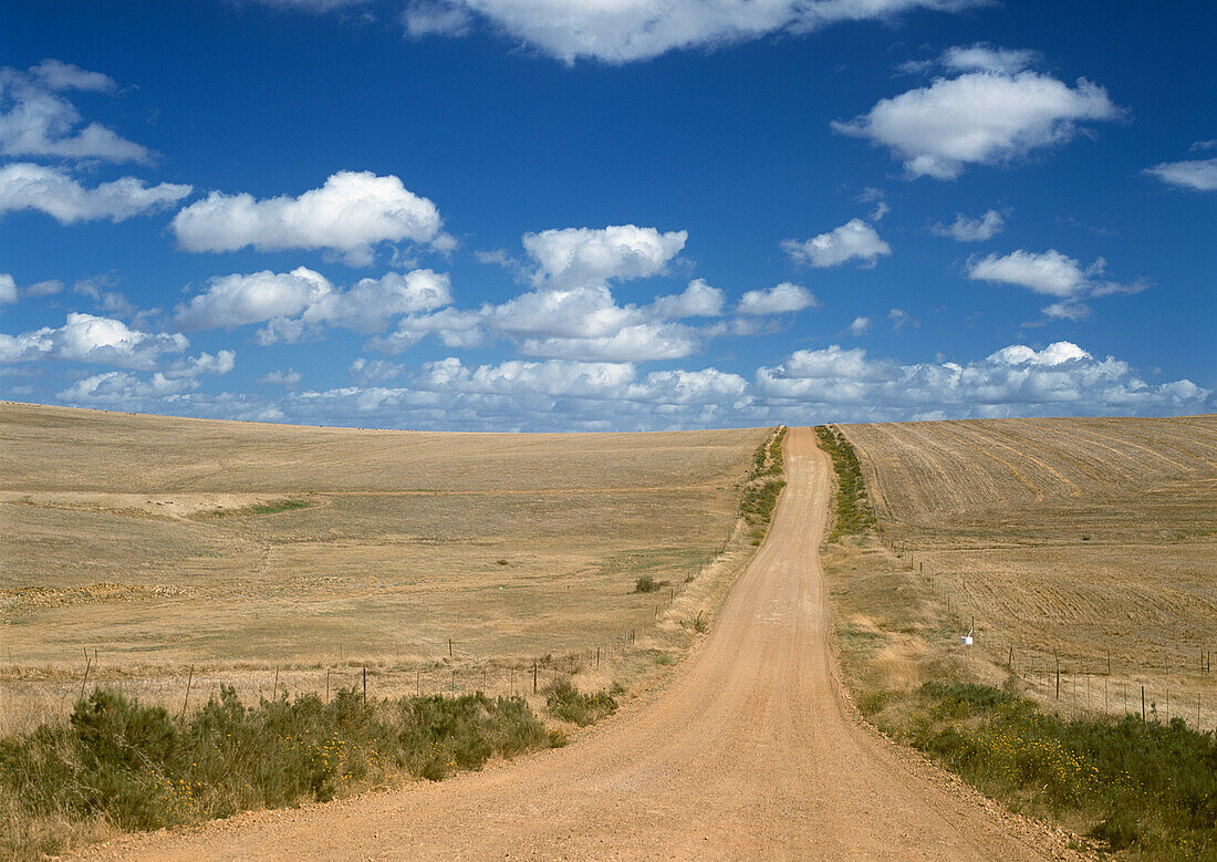 Empty Track Going Over Hills