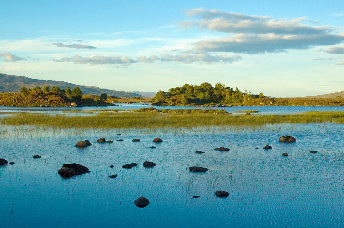 Still Lake At Rannoch Moor