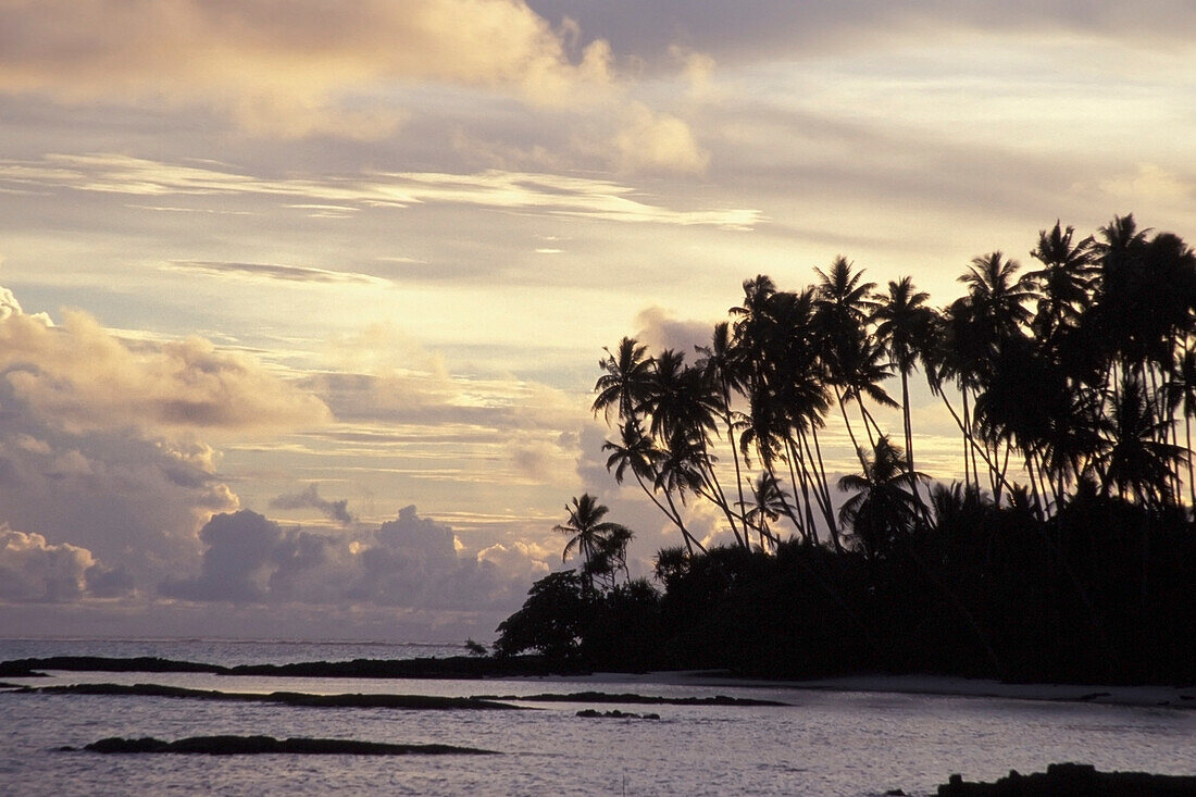Silhouetted Palm Trees Over Beach At Sunset