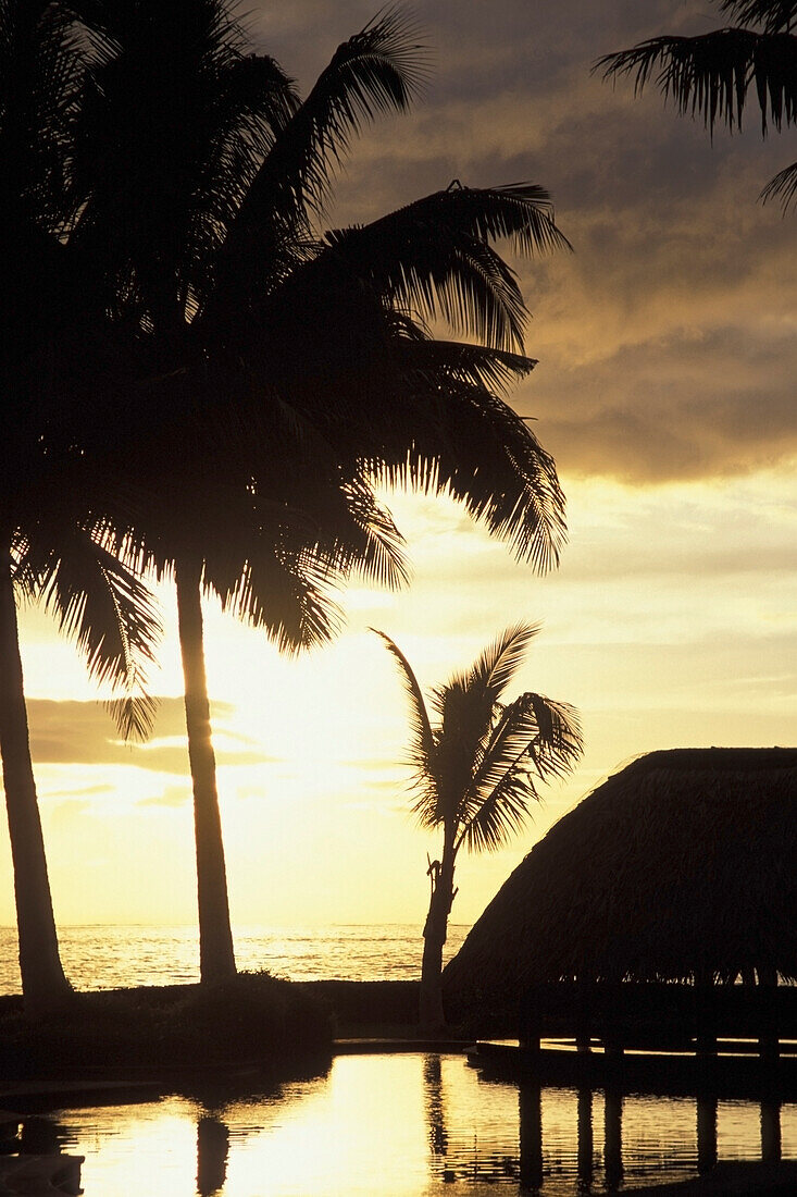 Swimming Pool And Palm Trees At Sunset By Coastline