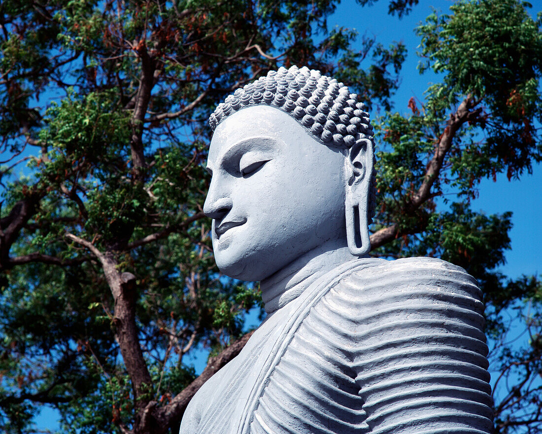 Buddha Statue And Tree Branches, Close Up