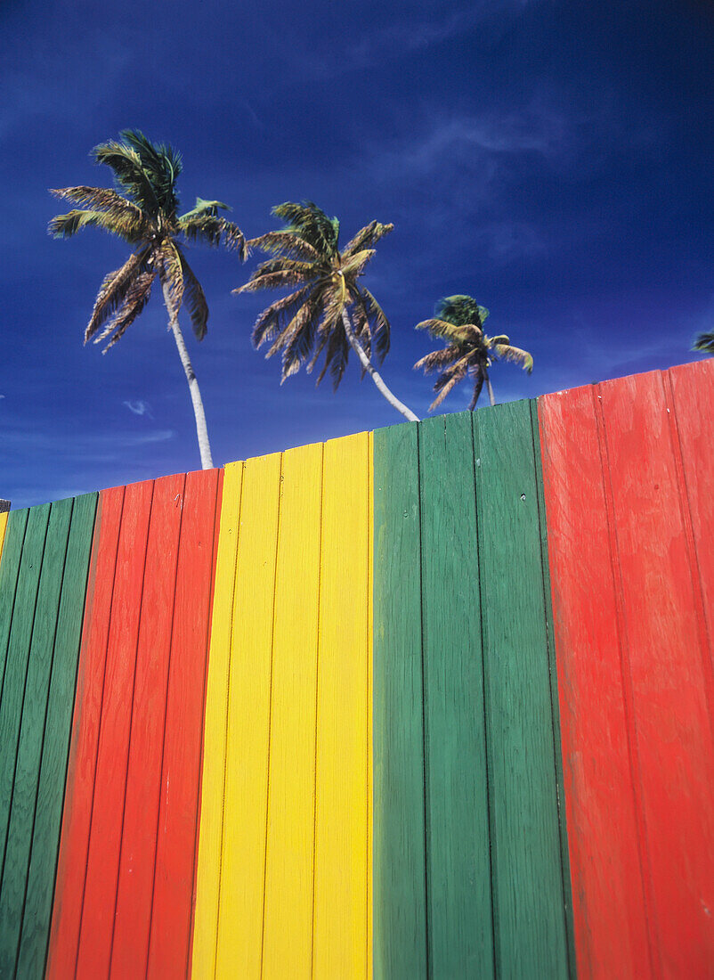 Und gelber Zaun; Jamaika, Grün, Palmen und Rot