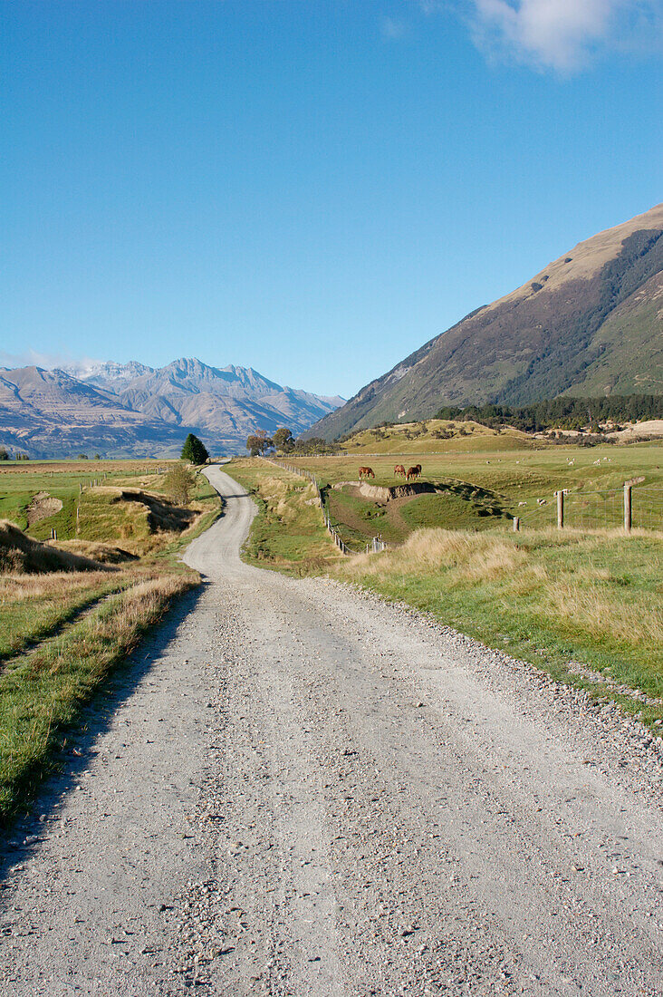 Road To Mount Aspiring National Park