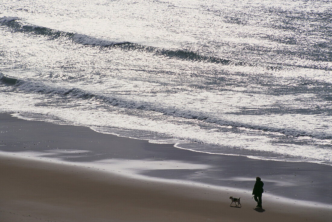 Silhouetted Person Walking Hund entlang des Strandes