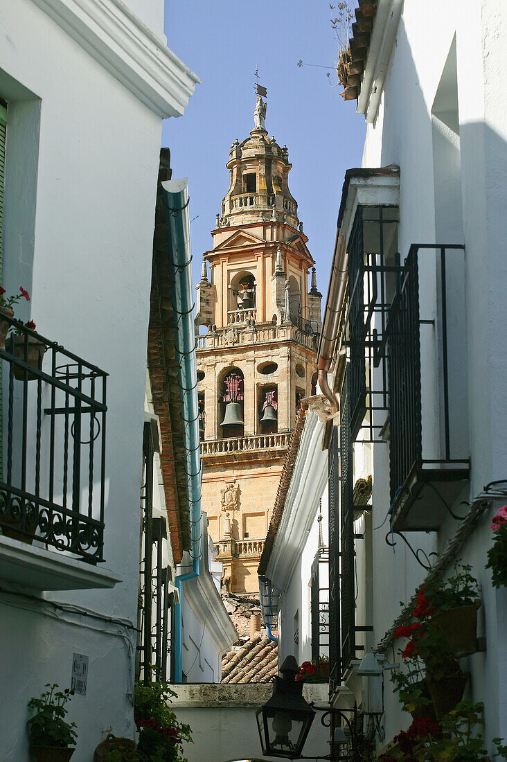 Cathedral And Whitewashed Buildings