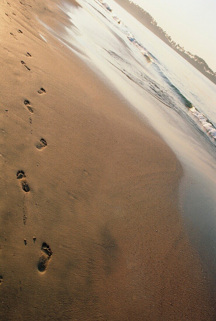 Footprints On Palolem Beach, Goa