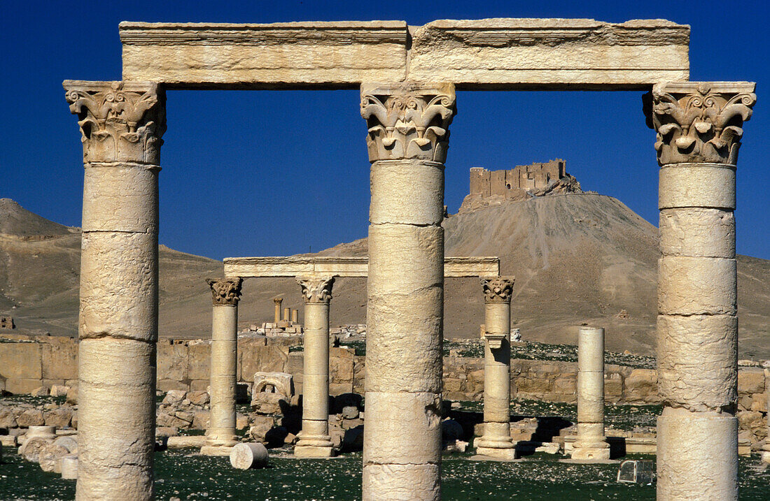 Colonnade At Palmyra