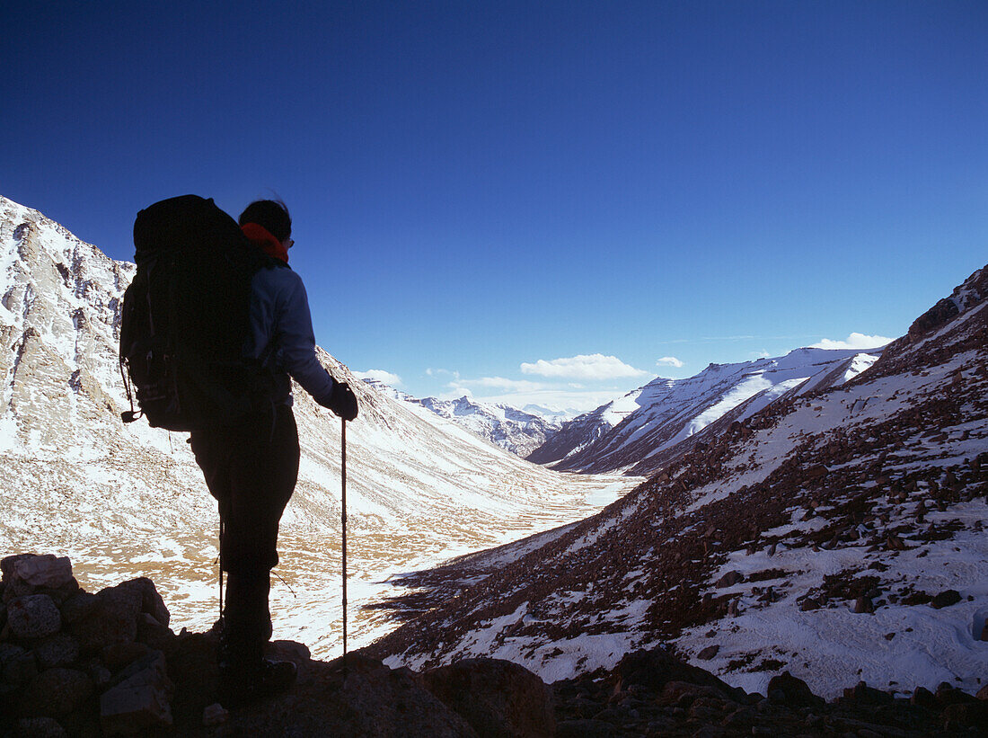 Walker Looking Over Snowy Mountains