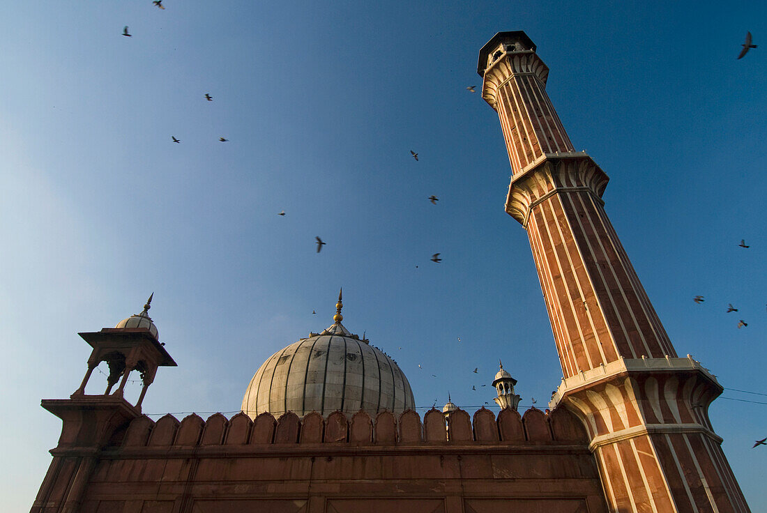 Jami Masjid And Birds