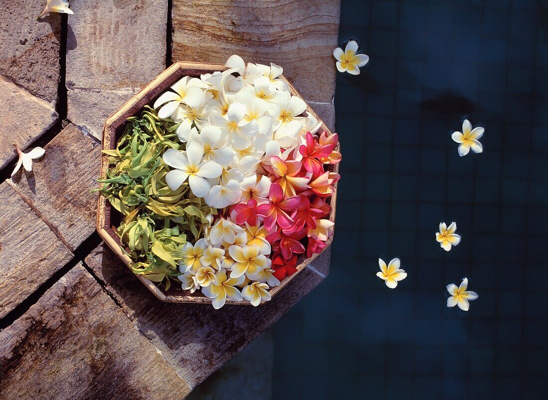 Blumenblüten in einer Schale an einem Pool, Nahaufnahme