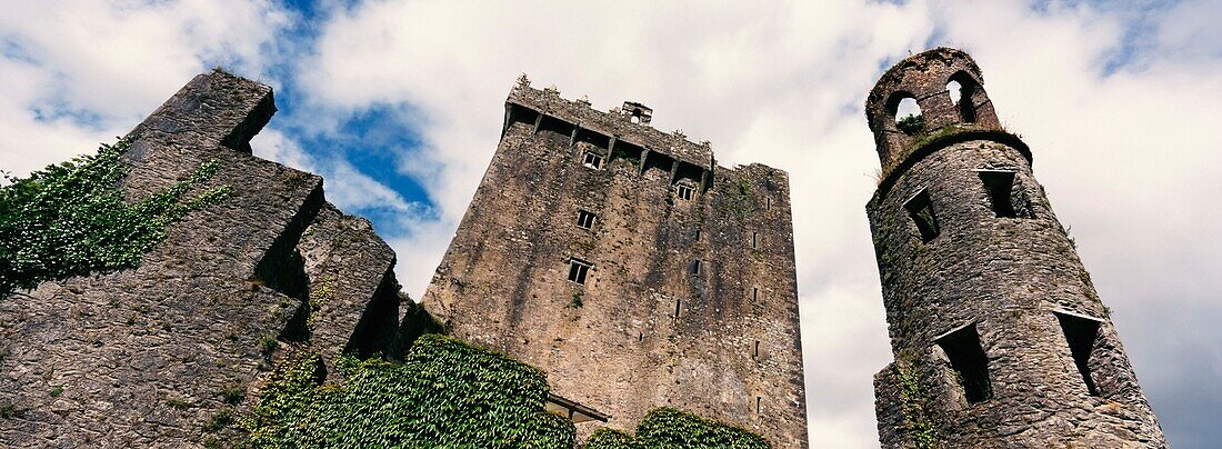 Blarney Castle, niedriger Blickwinkel