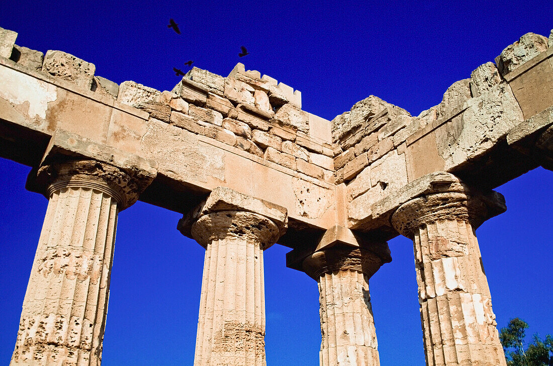 Greek Temple, Low Angle View