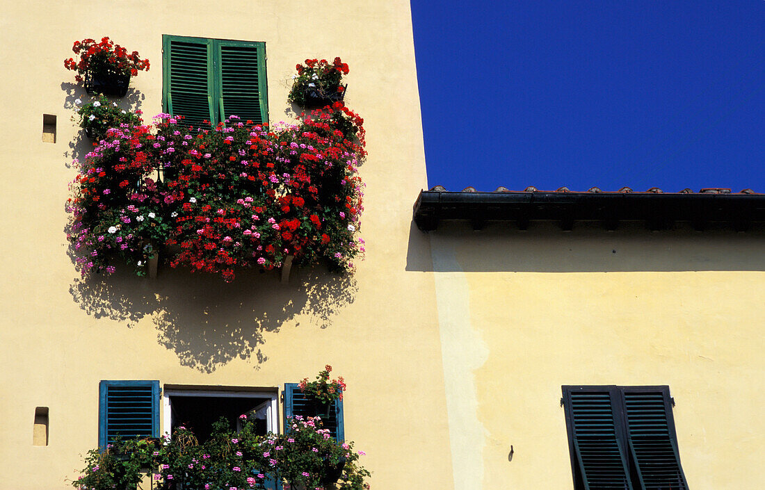 Haus mit Blumen auf Balkon, Nahaufnahme