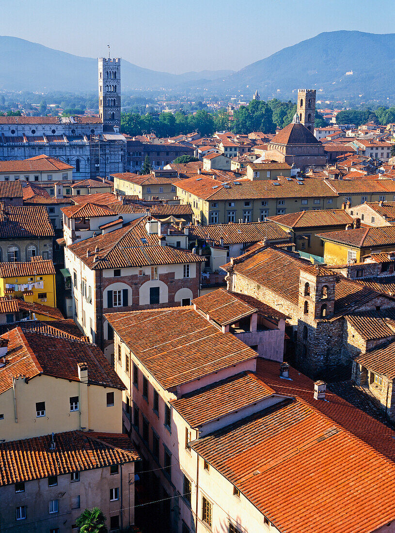 Rooftops Of Lucca, Aerial View