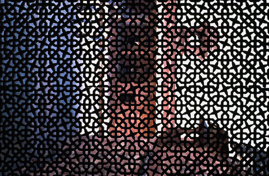 Looking Through Patterned Screen Window.