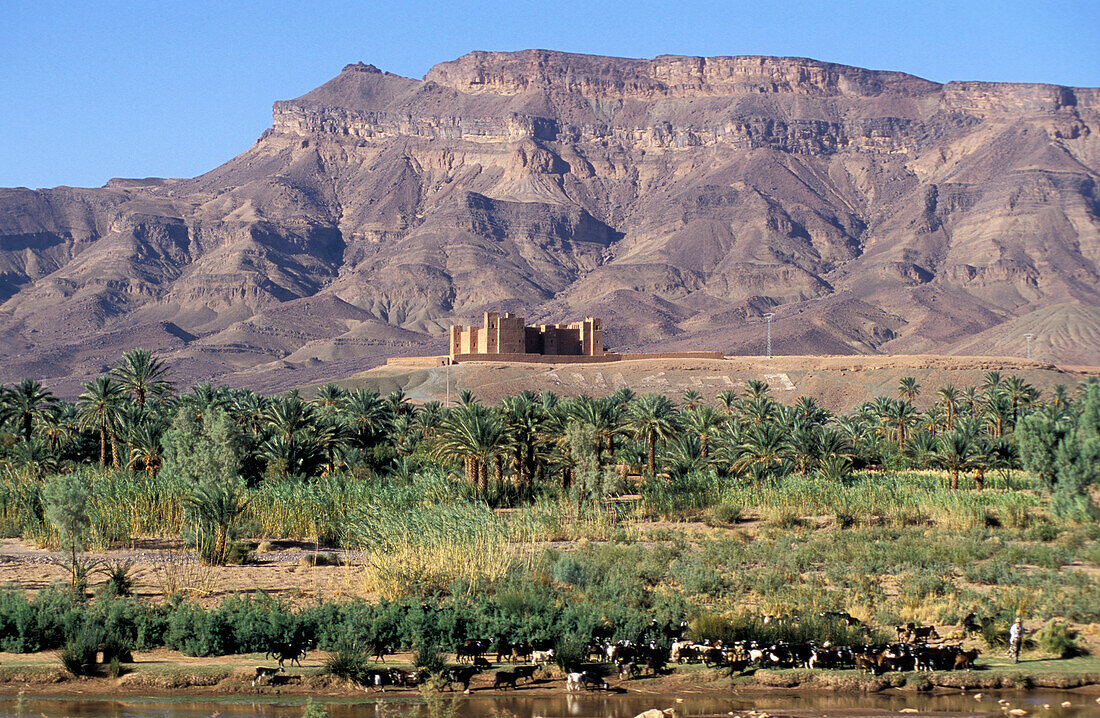 Kasbah in Tamnougalt