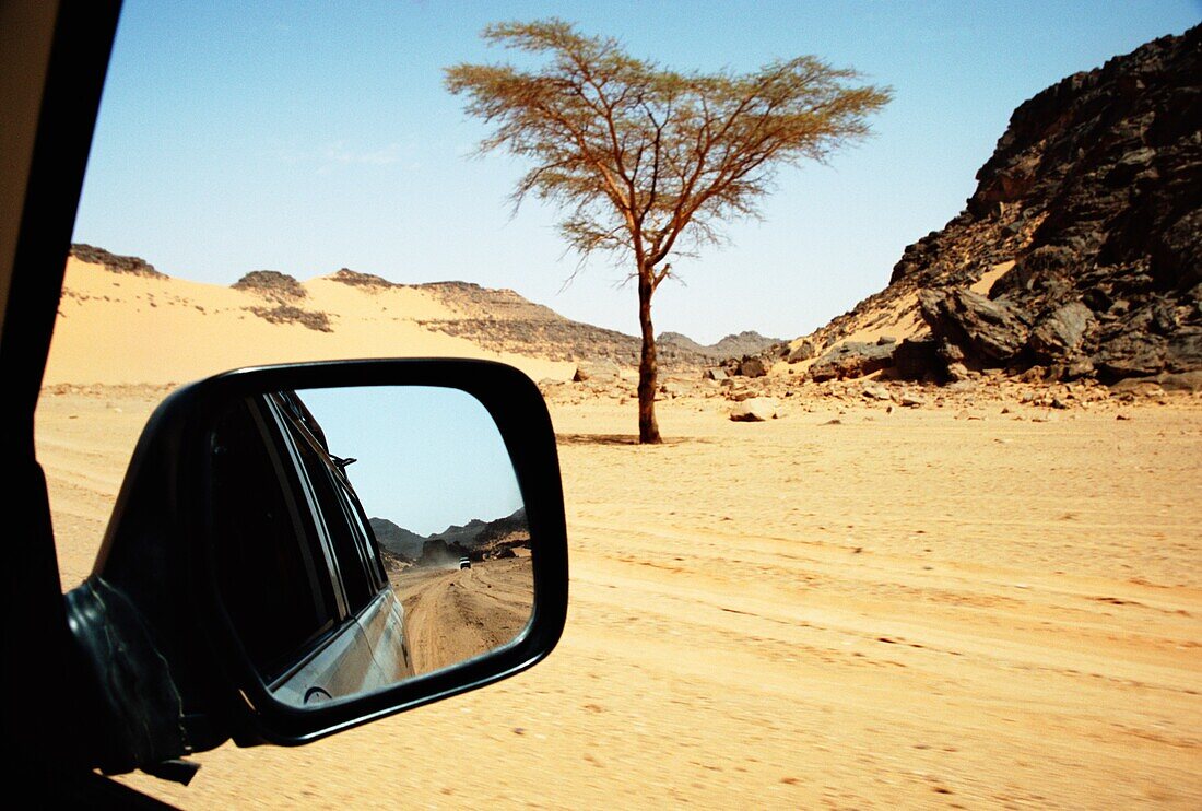 Blick in den Rückspiegel des Jeeps, Tadrart-Akazie