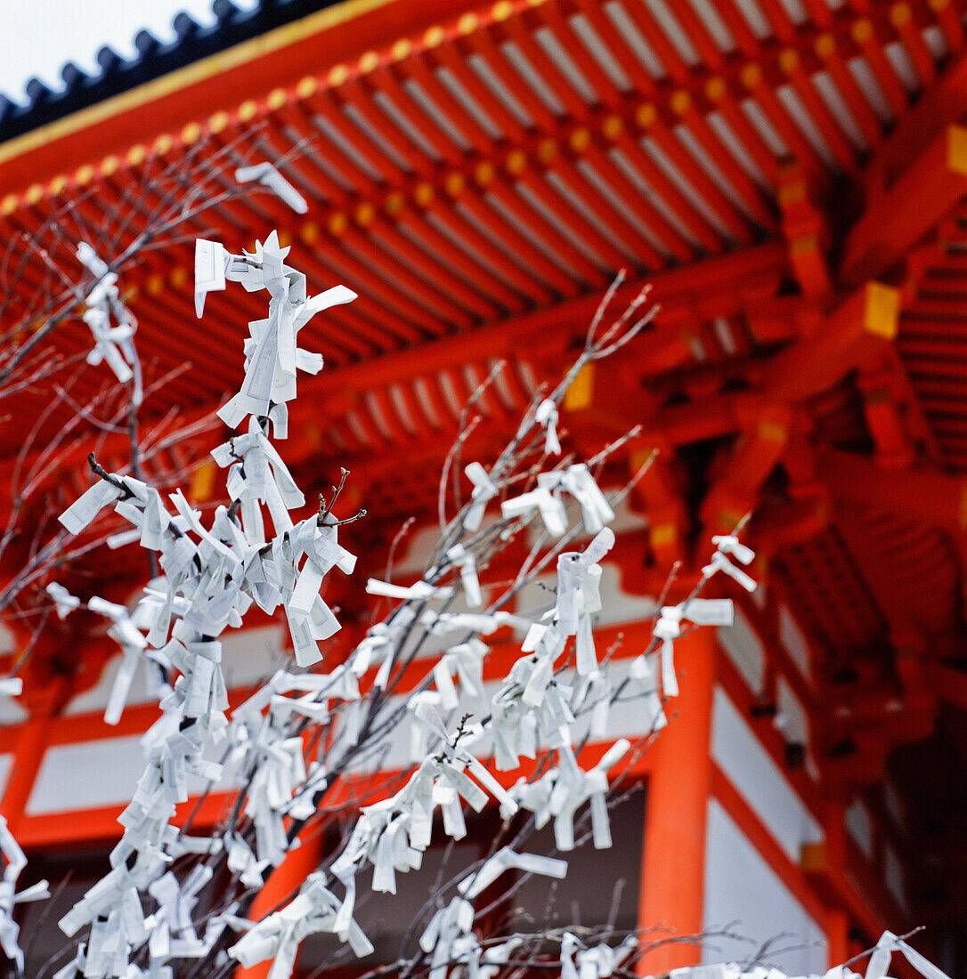 Fortune-Telling Omikuji Papers Tied To A Tree At Heian Shrine