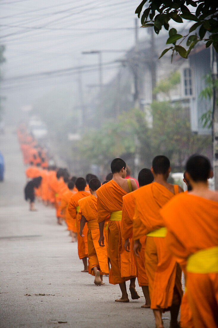 Novice Monks Out Collecting Alms At Dawn.