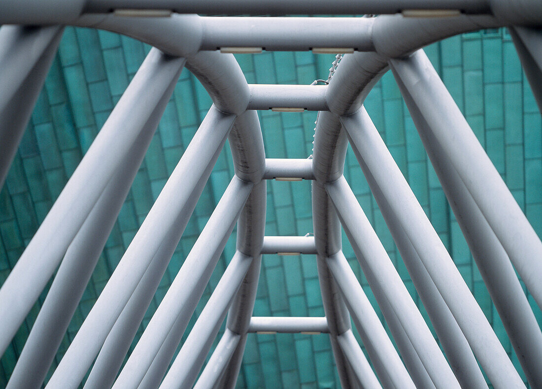 Bridge Leading To Metropolis Science And Technology Center