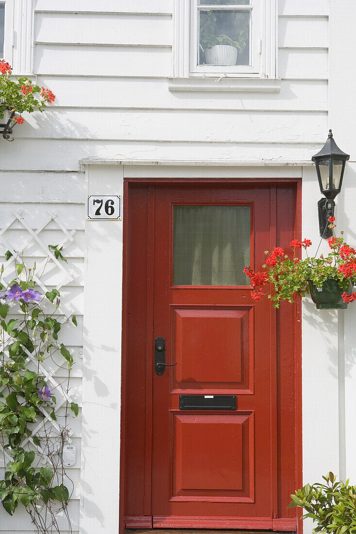 Rote Tür eines traditionellen Holzhauses mit Geranien und Clematis-Pflanzen